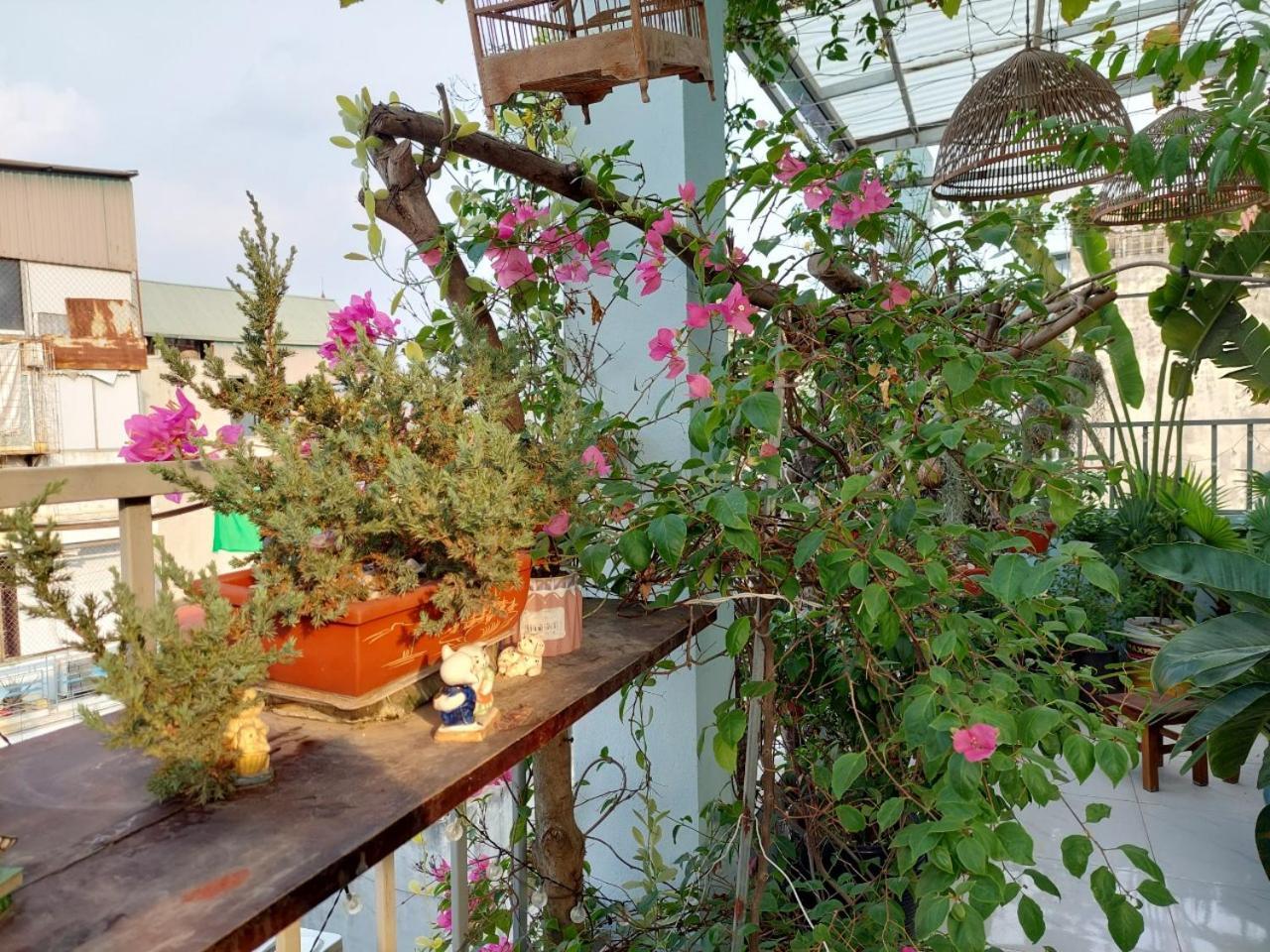 Alleyhomestay 2 ฮานอย ภายนอก รูปภาพ