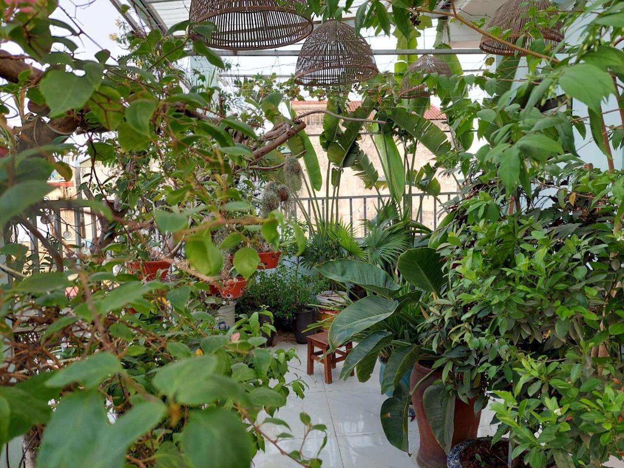 Alleyhomestay 2 ฮานอย ภายนอก รูปภาพ